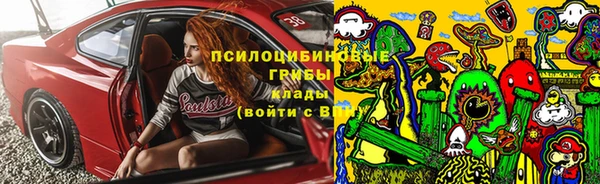 PSILOCYBIN Усолье-Сибирское