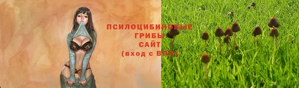 mdpv Туринск