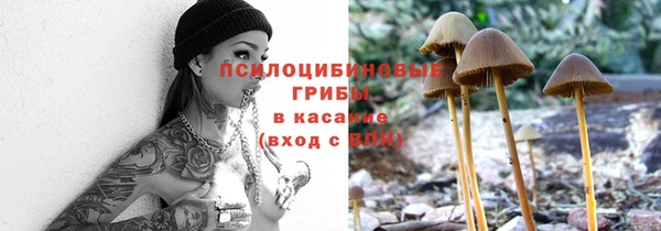 PSILOCYBIN Усолье-Сибирское