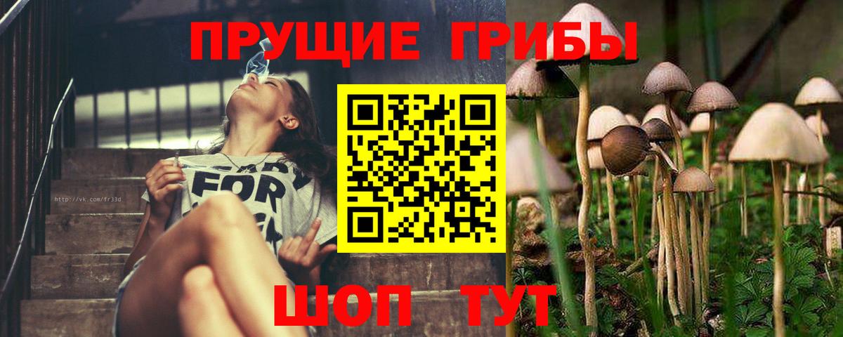 Галлюциногенные грибы ЛСД  Вход с VPN  Галлюциногенные грибы Magic Shrooms  Ростов-на-Дону 