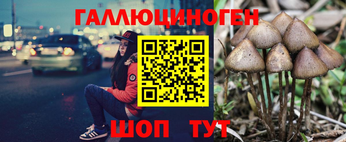 Псилоцибиновые грибы мухоморы Ростов-на-Дону